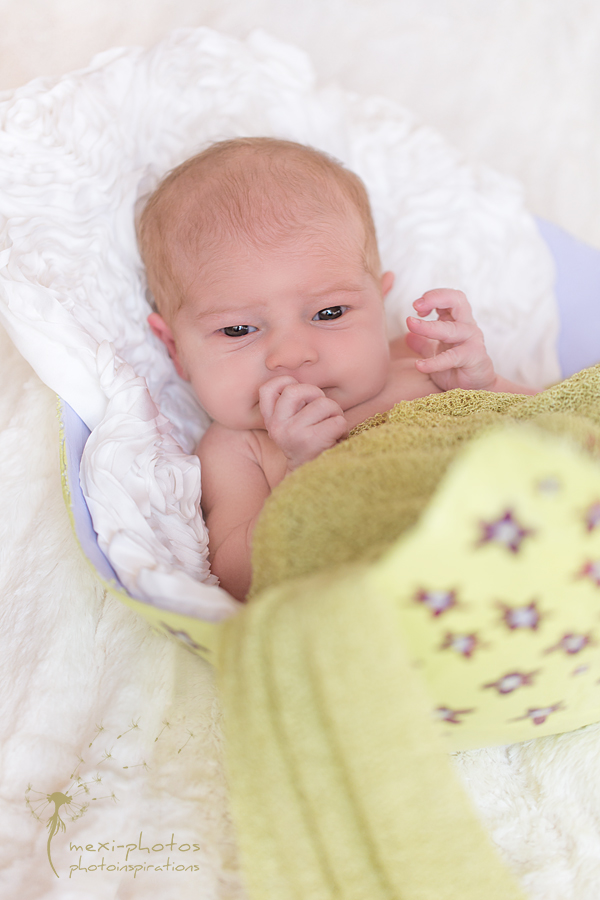 Babybauchschale mit Neugeborenen - Fotografie Gütersloh