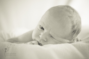 Neugeborenen-Fotografie: Finn