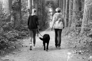 Hundefotografie Gütersloh